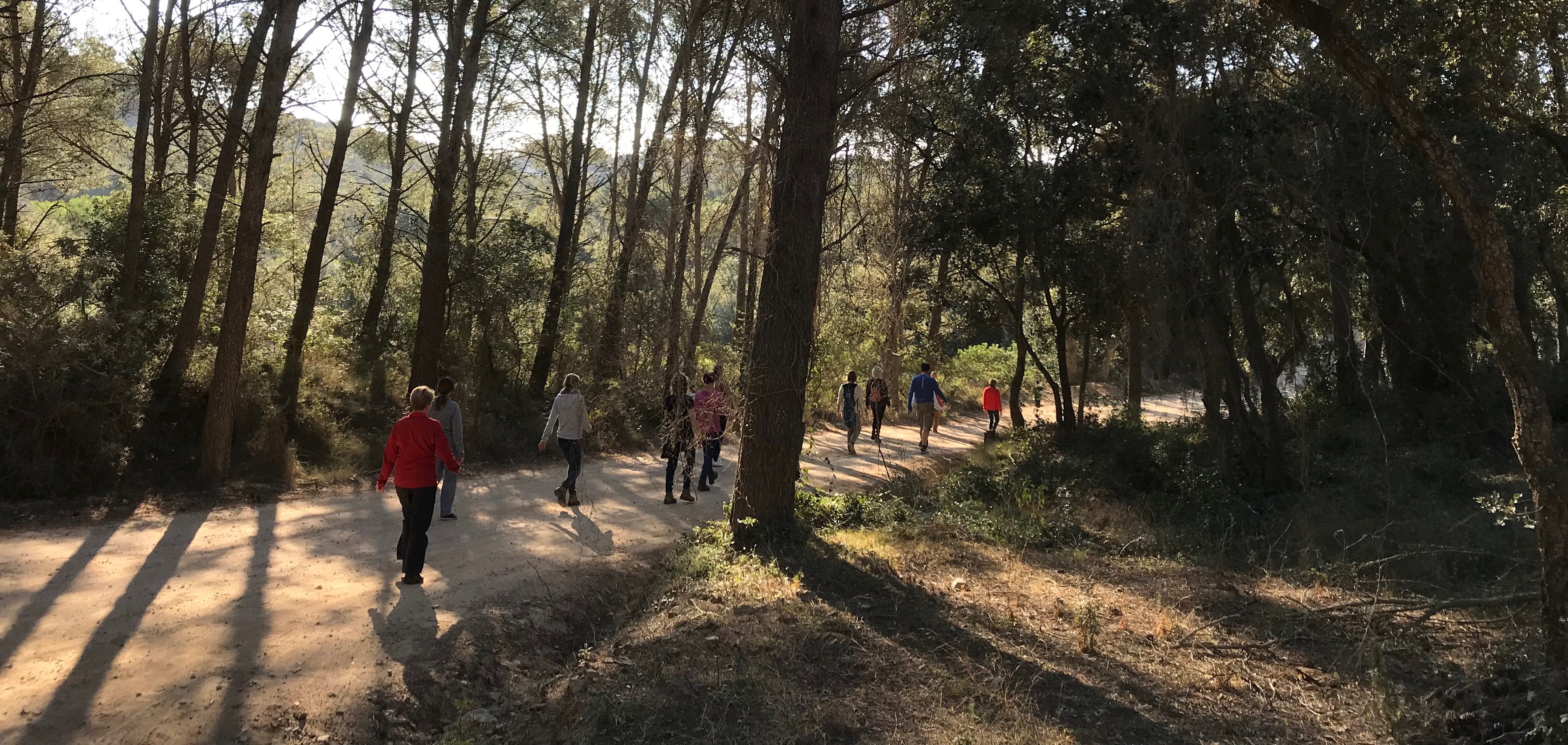 boswandeling retraite spanje